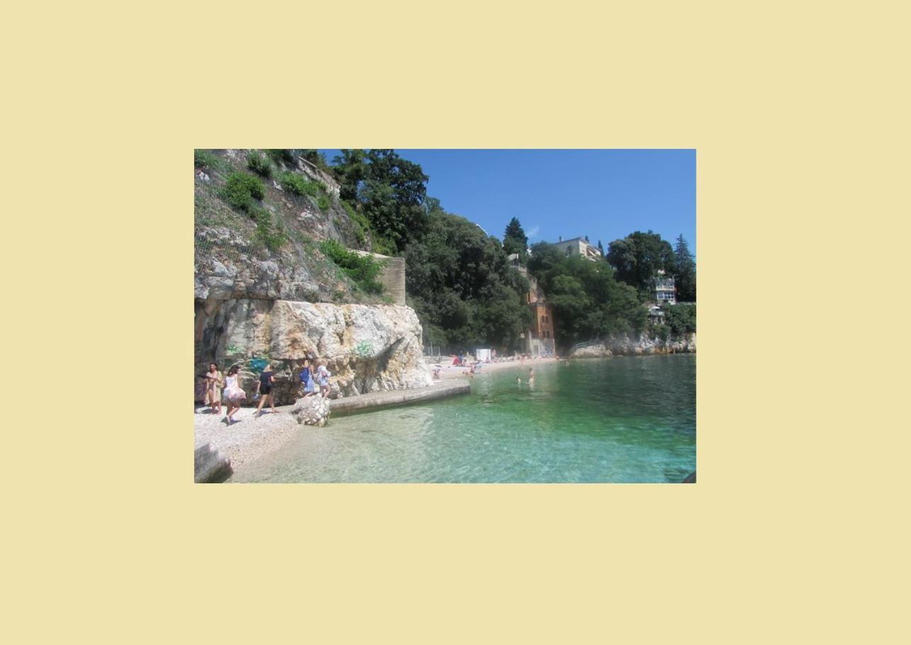 Rino****, 58m², 170m From The Apartment Rijeka