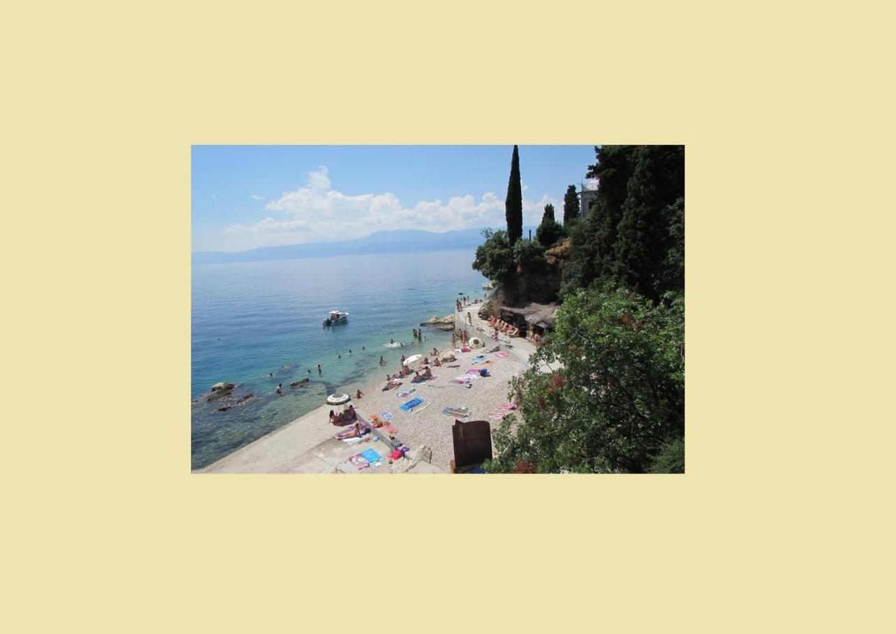 Rino****, 58m², 170m From The Rijeka